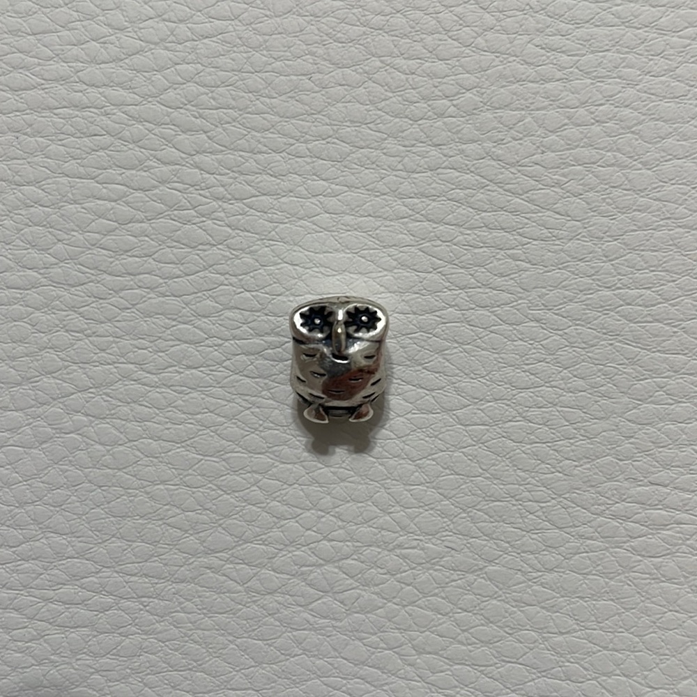 Discontinued Wise Owl Pandora Charm